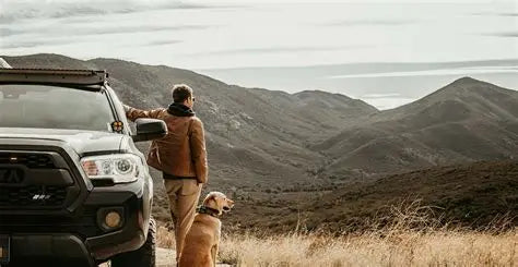 Pet-Friendly Car Travel: Keeping Your Furry Friend Cool with Window Shades