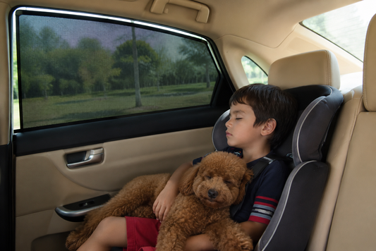 Best Car Window Shades for Kids & Pets